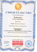 Свидетельство о публикации на международном образовательном портале МААМ Свидетельство о публикации на международном образовательном портале МААМ